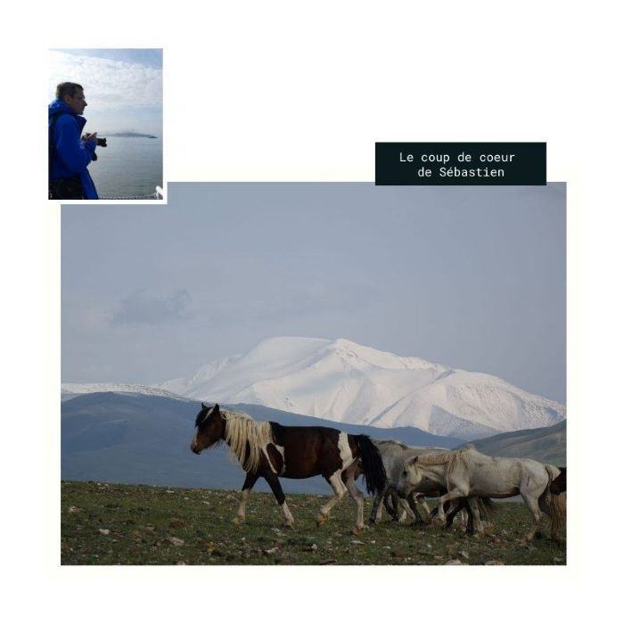 Le coup de coeur de Sébastien : les grands espaces de l'Altaï mongol. Photo : Sébastien de Nord Espaces